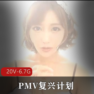 PMV复兴计划：咬一口兔娘、亚籍女Y、巨囊症作品等20部视频，总大小6.7G，下载观看